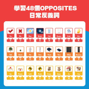 全新教具Curios Opposite Puzzle Card  (現貨)