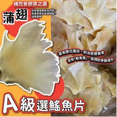 A級選鰩魚片蒲翅 250g (2月中旬)