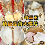 珍品王發財開運螺片600g (2月上旬)