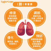 TygerCeps+ 虎乳芝益肺寶 (1月下旬)